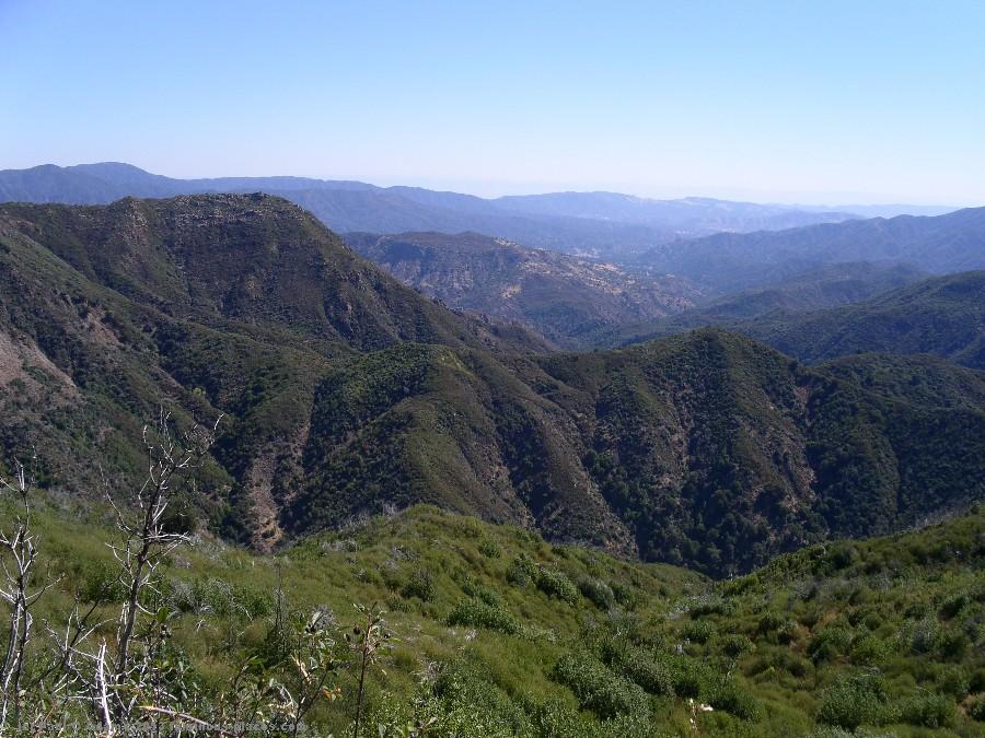 Los Padres National Forest