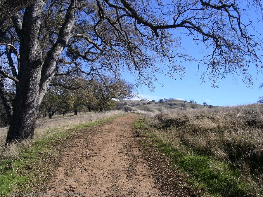 open space park, N
                California