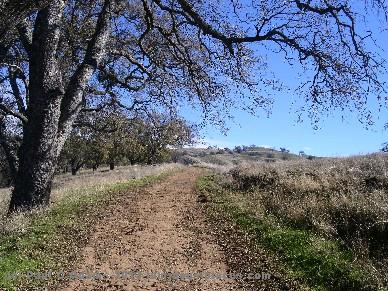 open space
                          park, N California