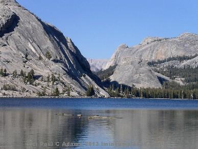 Lake
                          Tenaya, Yosemite