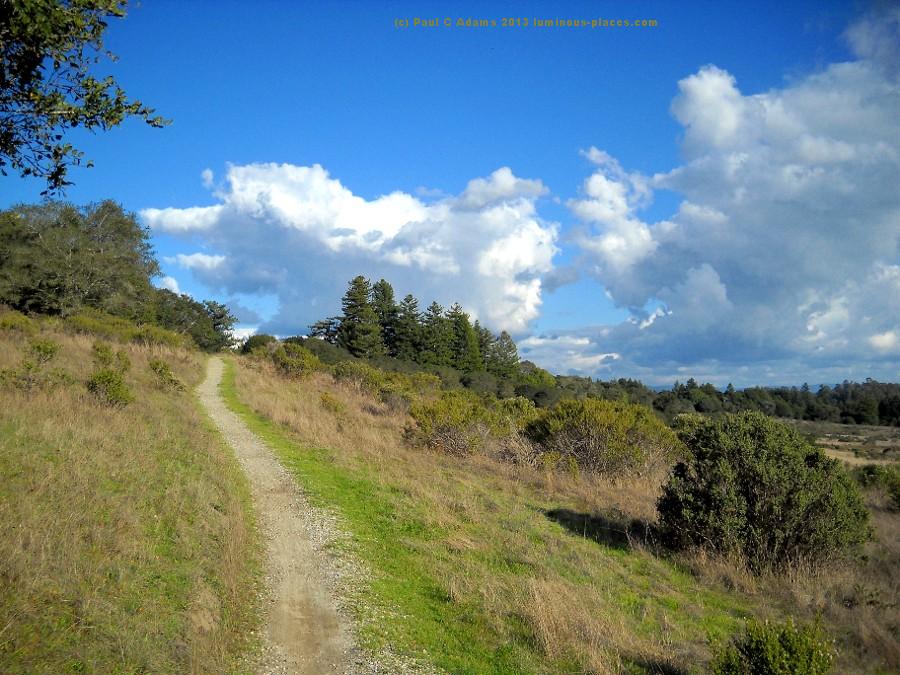 N. California open space
                park